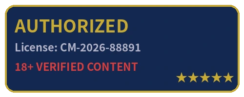 寸止挑战传媒视频制作授权许可徽章